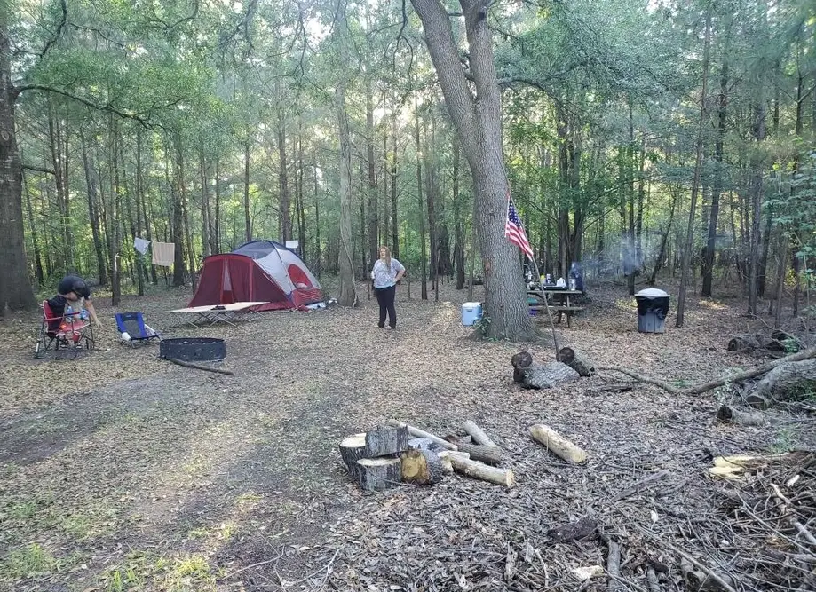 Wooded Campsite #1