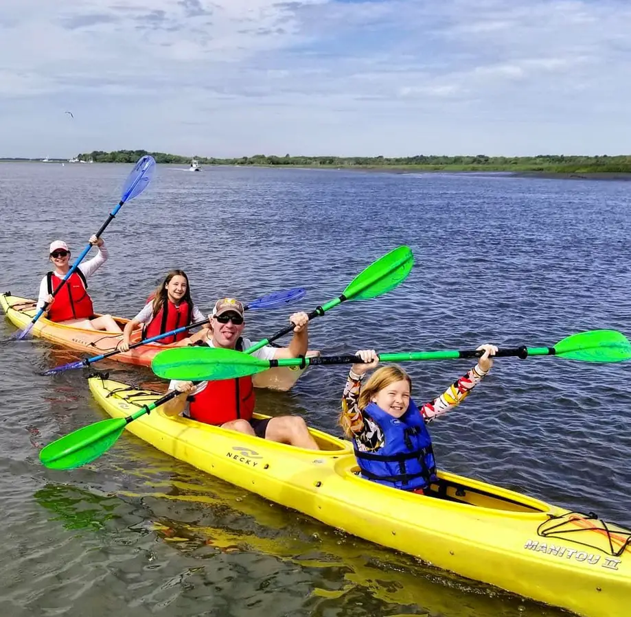Kayak & Paddleboard Dolphin Tour