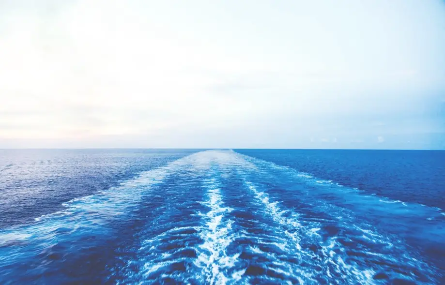 Bachelor/Bachelorette Cruise