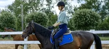 Single Horse Riding Lesson