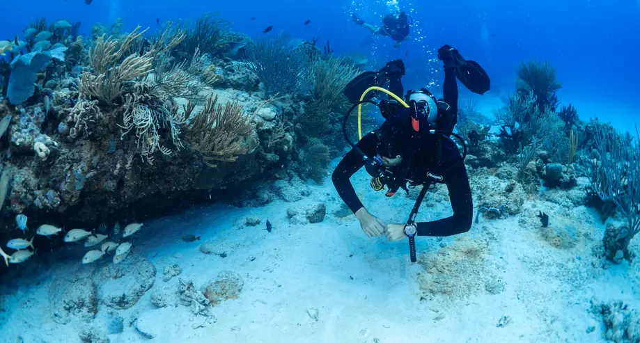 Open Water Scuba Course (Class & Pool Sessions)