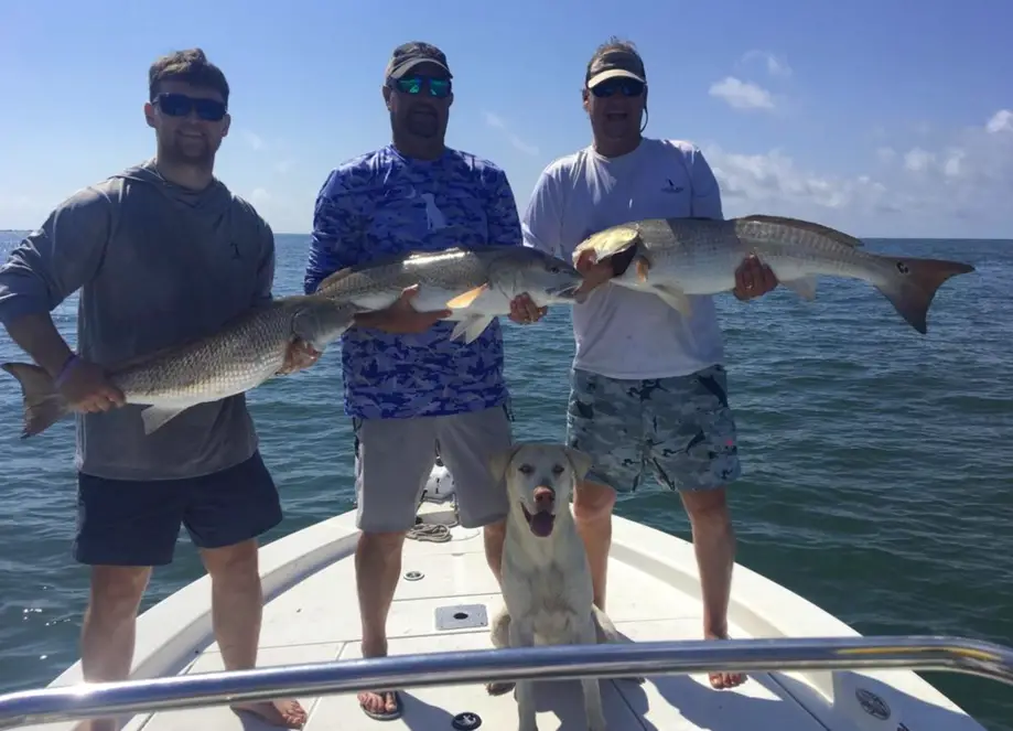 Fishing Charters