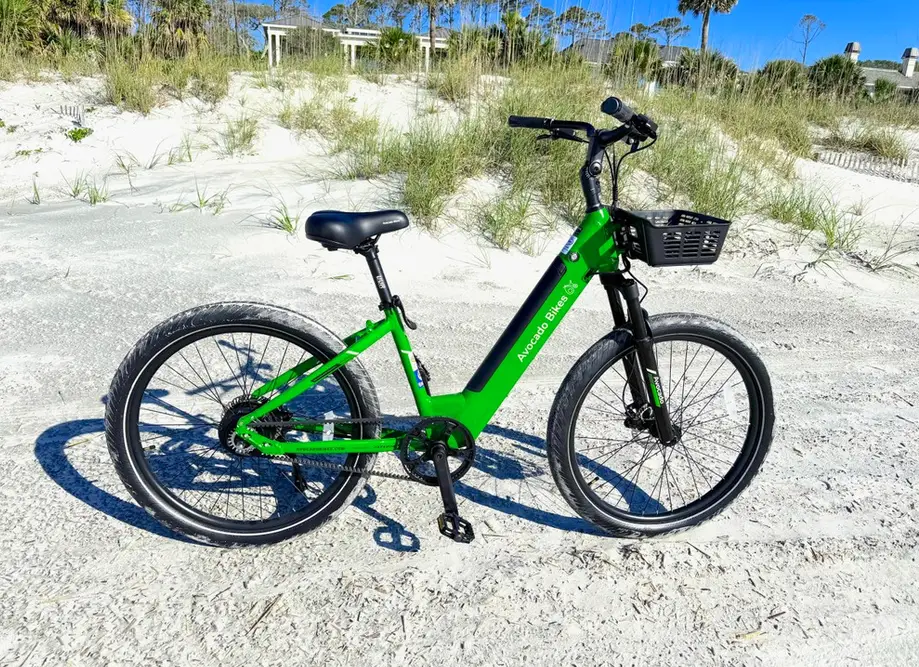 One Day Electric Bike Rental
