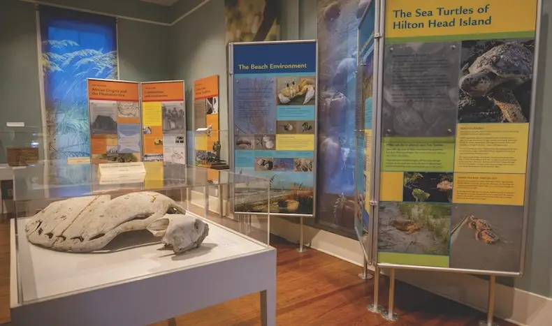 New Exhibition: Opening Reception