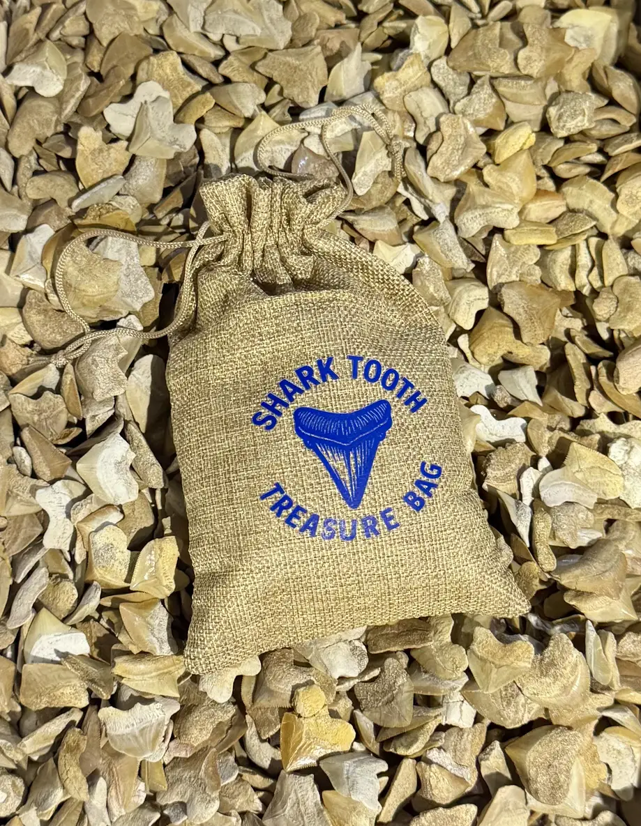 Shark Tooth Treasure Bag