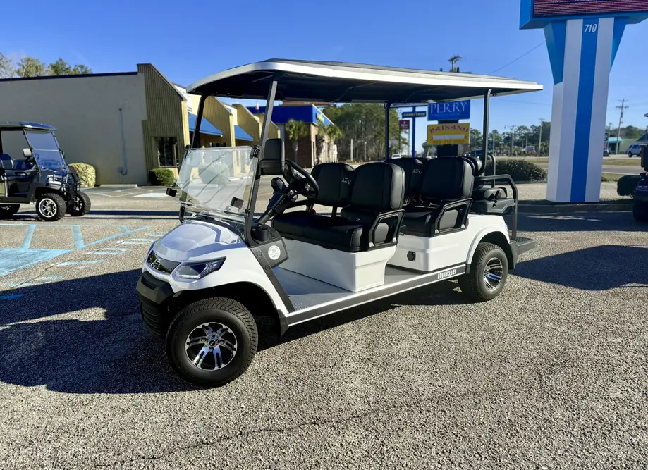 6 Seat Electric Basic