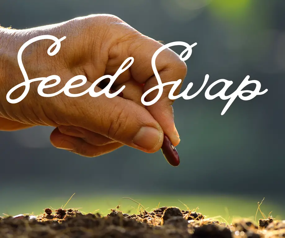 Seed Swap
