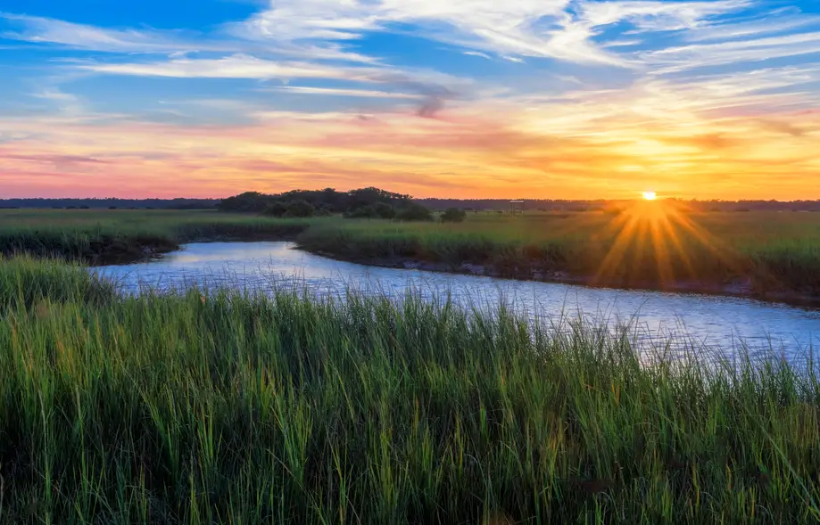 SCM PVT Sunset Dolphin Cruise 12pk