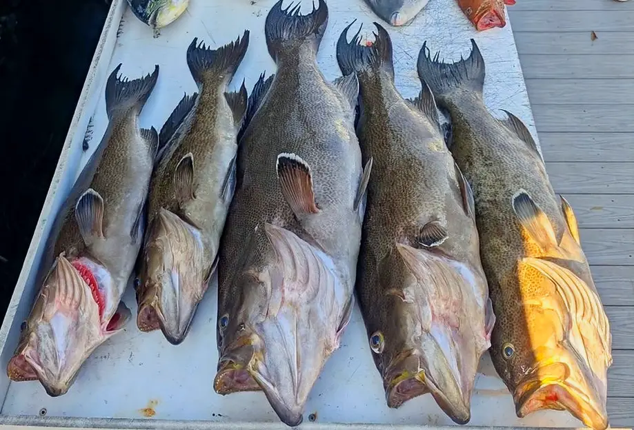 10 Hour Offshore Charter