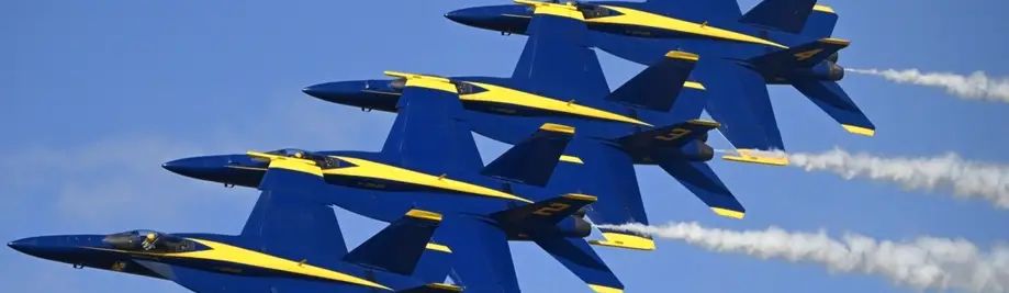 Blue Angels Harbor Airshow Cruise - Drinks and Lite Bites Included