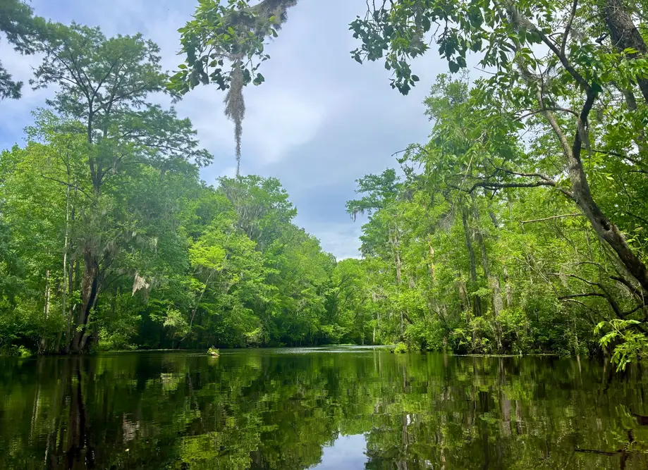 Black Mingo Creek