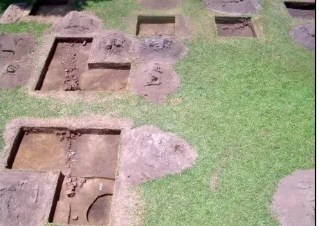 Drayton Hall Archaeological Institute