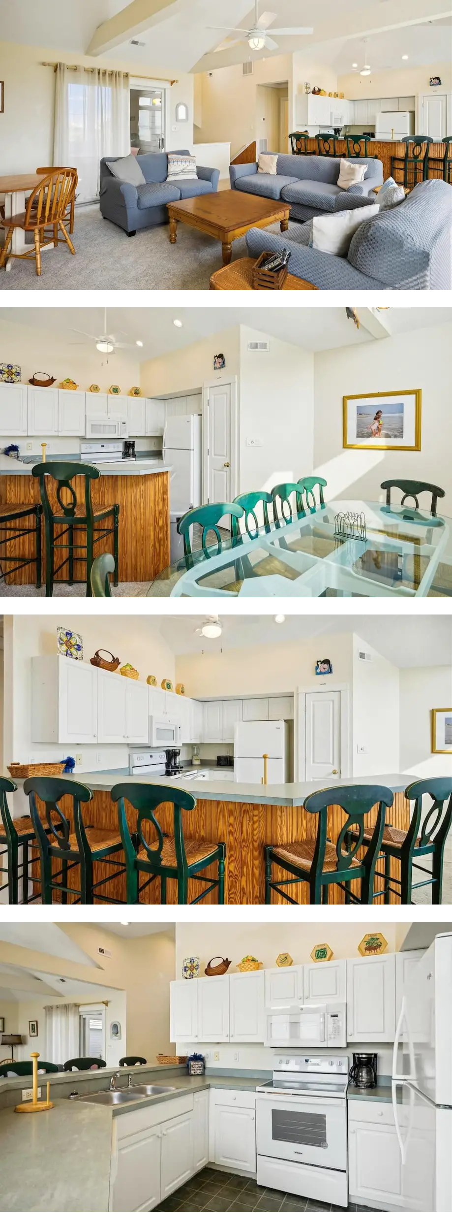 Brown Pelican | Oceanfront | Village at ...