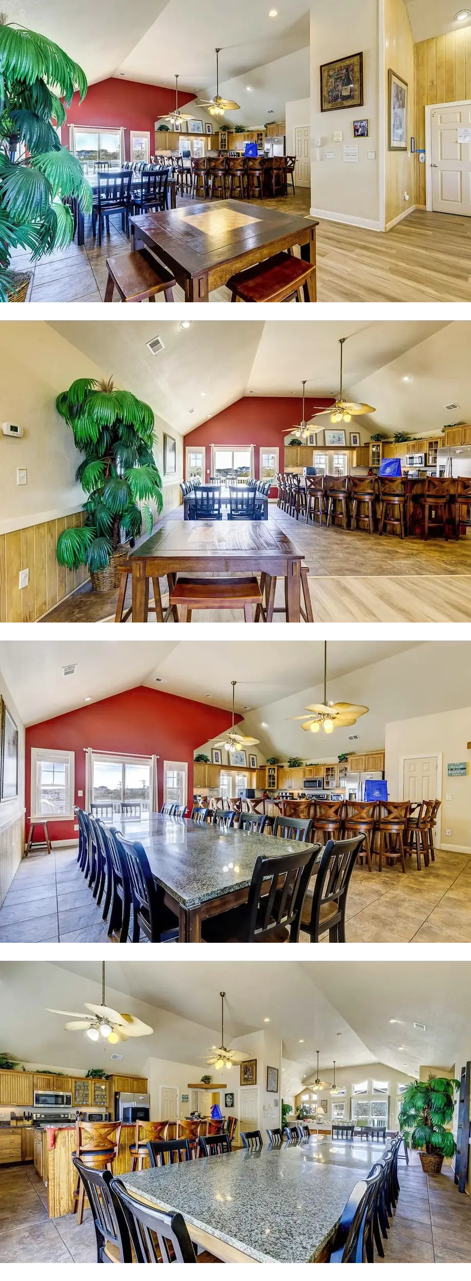 Green Iguana | 425 ft from the Beach | P...