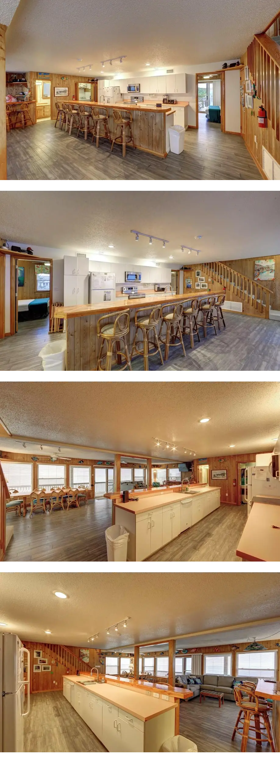 Salamander 2 - Ocracoke Island