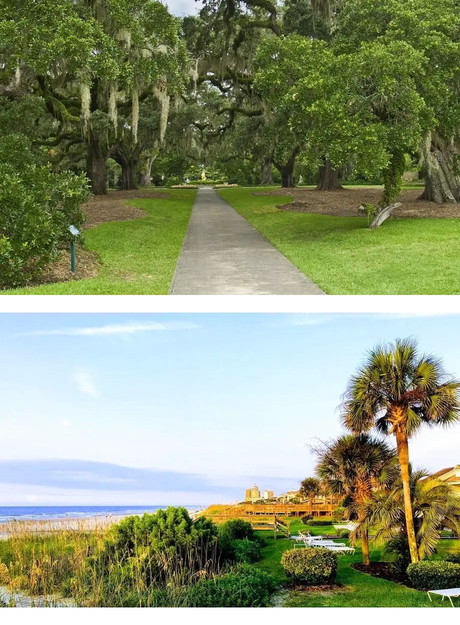 Carolina Dunes - 303