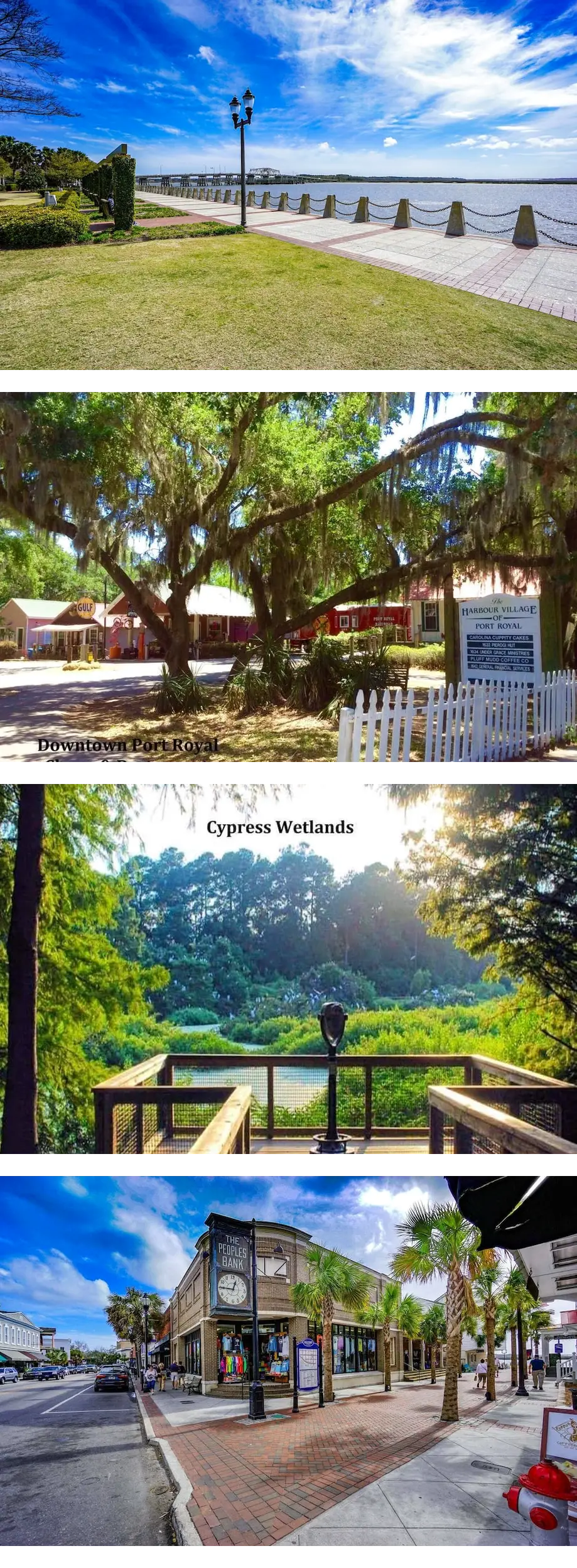 The Palmetto Blue Cottage. 5 min to Parr...